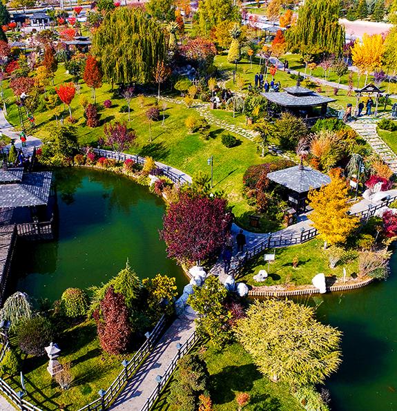 Japon Kyoto Parkı